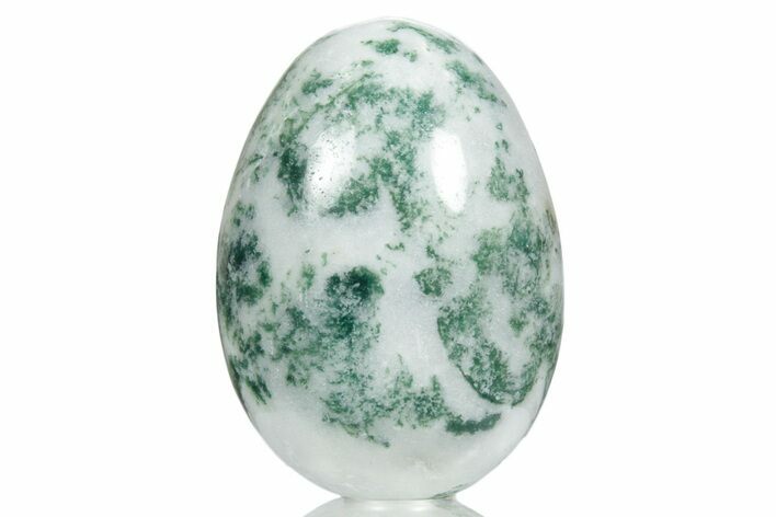 Polished Tree Agate Egg - India #356345